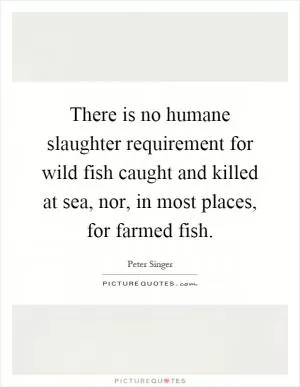There is no humane slaughter requirement for wild fish caught and killed at sea, nor, in most places, for farmed fish Picture Quote #1