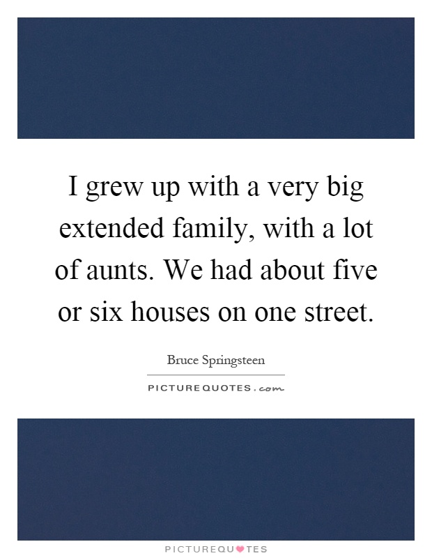 I grew up with a very big extended family, with a lot of aunts. We had about five or six houses on one street Picture Quote #1