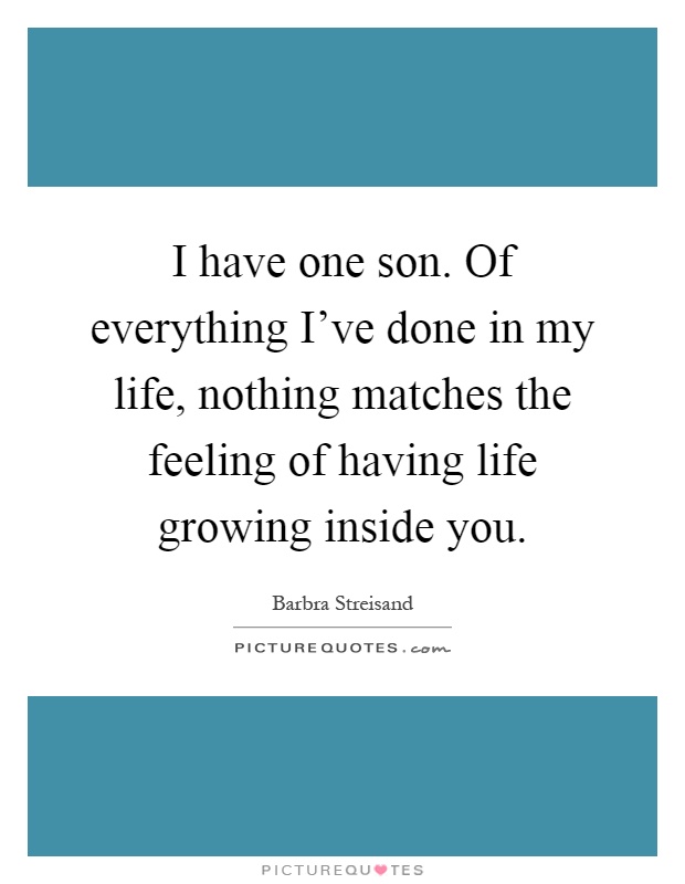 I have one son. Of everything I've done in my life, nothing matches the feeling of having life growing inside you Picture Quote #1