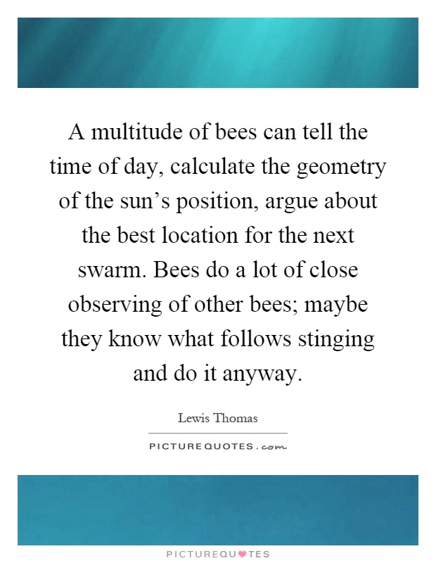 A multitude of bees can tell the time of day, calculate the geometry of the sun's position, argue about the best location for the next swarm. Bees do a lot of close observing of other bees; maybe they know what follows stinging and do it anyway Picture Quote #1