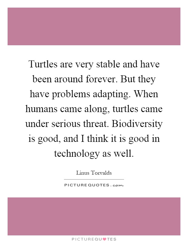 Turtles are very stable and have been around forever. But they have problems adapting. When humans came along, turtles came under serious threat. Biodiversity is good, and I think it is good in technology as well Picture Quote #1