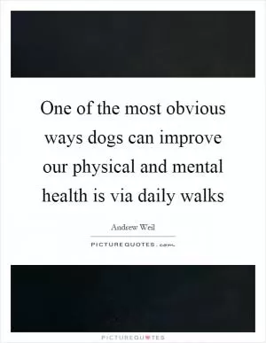 One of the most obvious ways dogs can improve our physical and mental health is via daily walks Picture Quote #1