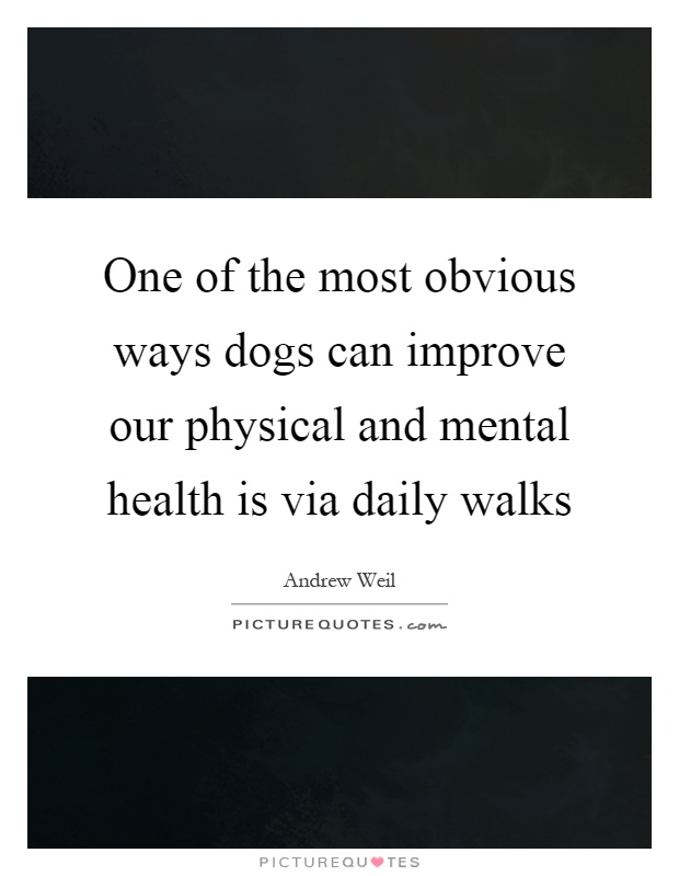 One of the most obvious ways dogs can improve our physical and mental health is via daily walks Picture Quote #1