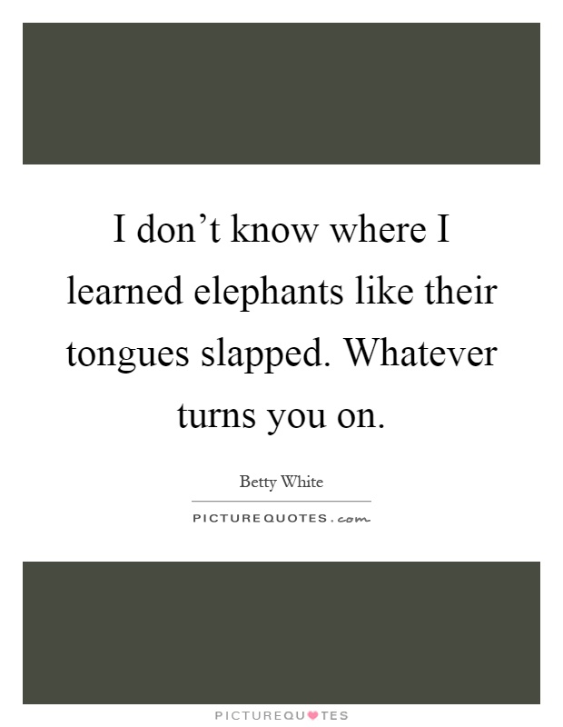 I don't know where I learned elephants like their tongues slapped. Whatever turns you on Picture Quote #1