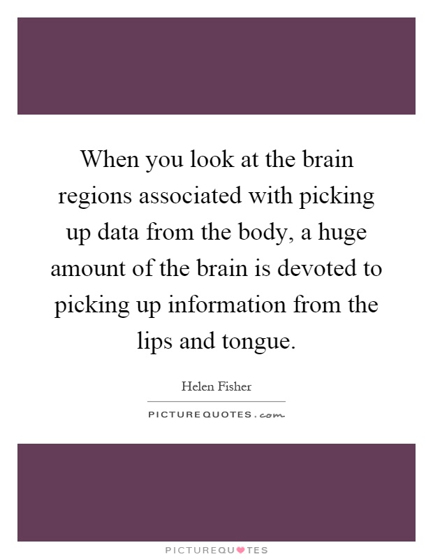 When you look at the brain regions associated with picking up data from the body, a huge amount of the brain is devoted to picking up information from the lips and tongue Picture Quote #1
