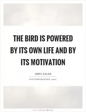 The bird is powered by its own life and by its motivation Picture Quote #1