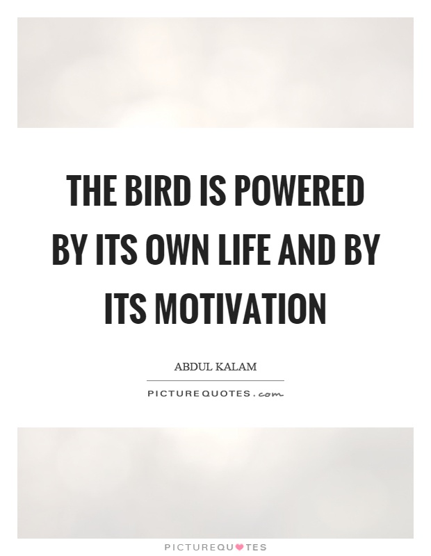 The bird is powered by its own life and by its motivation Picture Quote #1