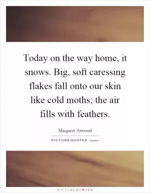 Today on the way home, it snows. Big, soft caressing flakes fall onto our skin like cold moths; the air fills with feathers Picture Quote #1