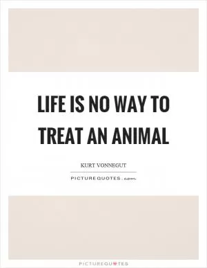 Life is no way to treat an animal Picture Quote #1