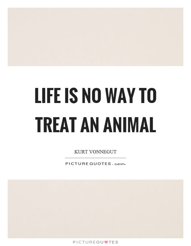 Life is no way to treat an animal Picture Quote #1