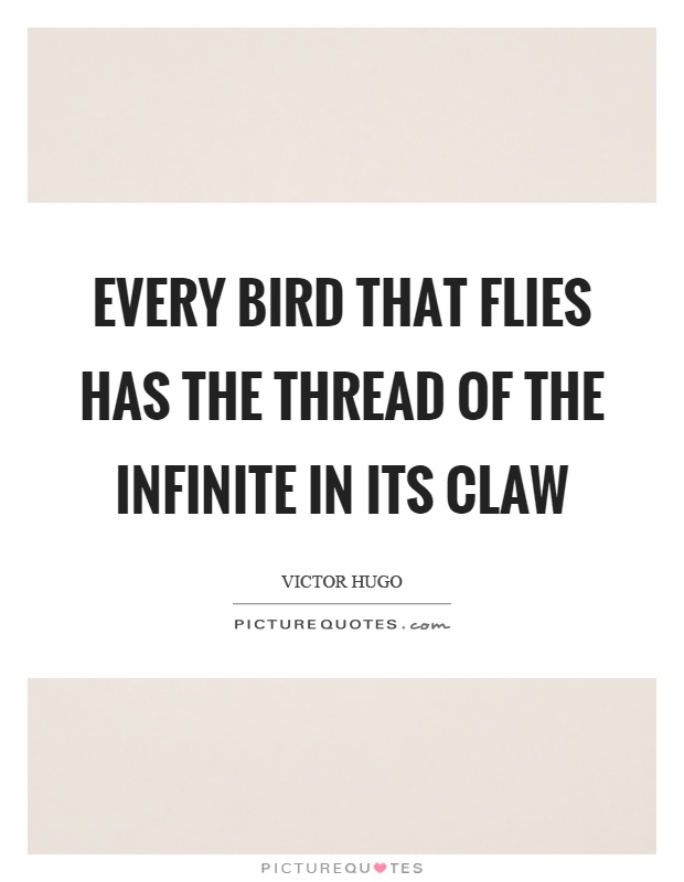Every bird that flies has the thread of the infinite in its claw Picture Quote #1