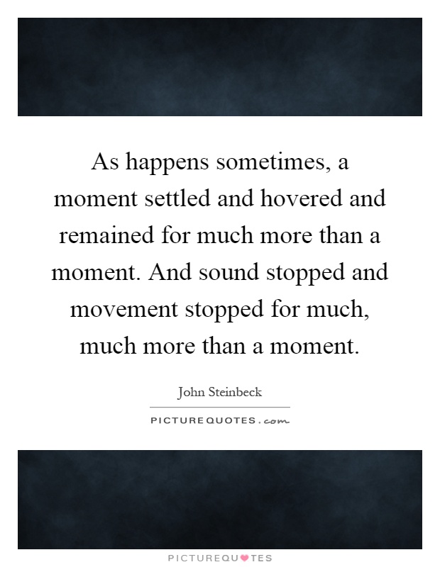 As happens sometimes, a moment settled and hovered and remained for much more than a moment. And sound stopped and movement stopped for much, much more than a moment Picture Quote #1