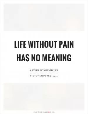Life without pain has no meaning Picture Quote #1