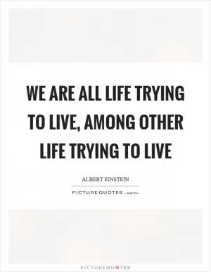 We are all life trying to live, among other life trying to live Picture Quote #1