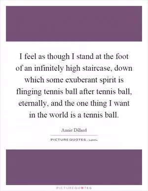 I feel as though I stand at the foot of an infinitely high staircase, down which some exuberant spirit is flinging tennis ball after tennis ball, eternally, and the one thing I want in the world is a tennis ball Picture Quote #1
