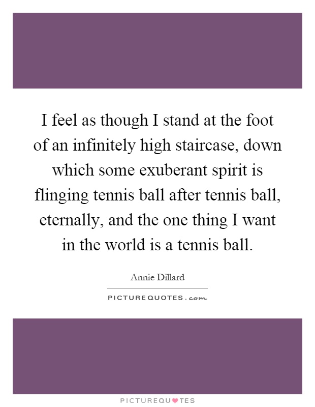 I feel as though I stand at the foot of an infinitely high staircase, down which some exuberant spirit is flinging tennis ball after tennis ball, eternally, and the one thing I want in the world is a tennis ball Picture Quote #1
