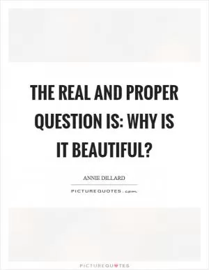 The real and proper question is: why is it beautiful? Picture Quote #1