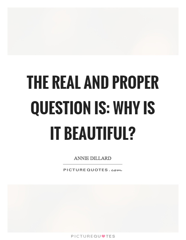 The real and proper question is: why is it beautiful? Picture Quote #1