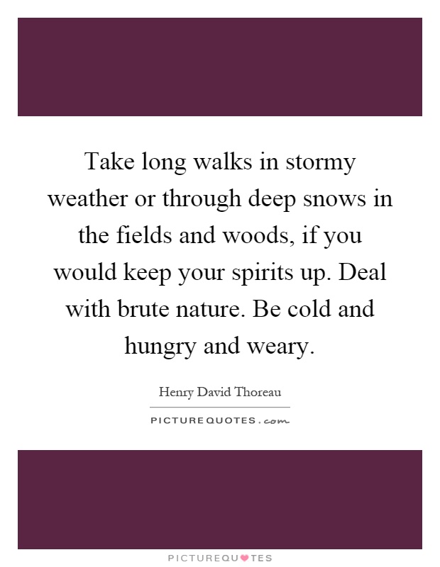 Take long walks in stormy weather or through deep snows in the fields and woods, if you would keep your spirits up. Deal with brute nature. Be cold and hungry and weary Picture Quote #1