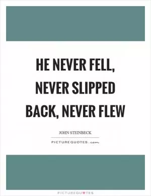He never fell, never slipped back, never flew Picture Quote #1