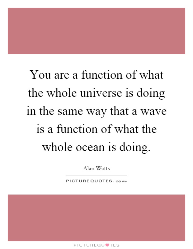 You are a function of what the whole universe is doing in the same way that a wave is a function of what the whole ocean is doing Picture Quote #1