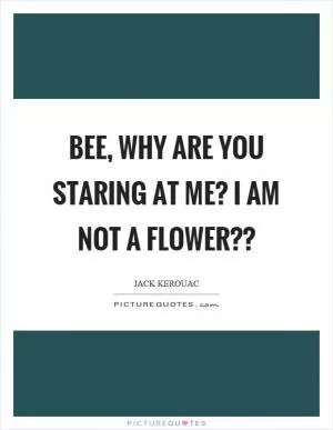Bee, why are you staring at me? I am not a flower?? Picture Quote #1