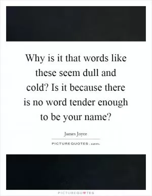 Why is it that words like these seem dull and cold? Is it because there is no word tender enough to be your name? Picture Quote #1