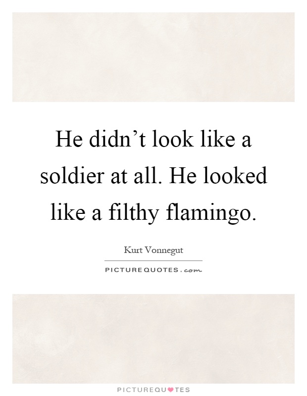 He didn't look like a soldier at all. He looked like a filthy flamingo Picture Quote #1
