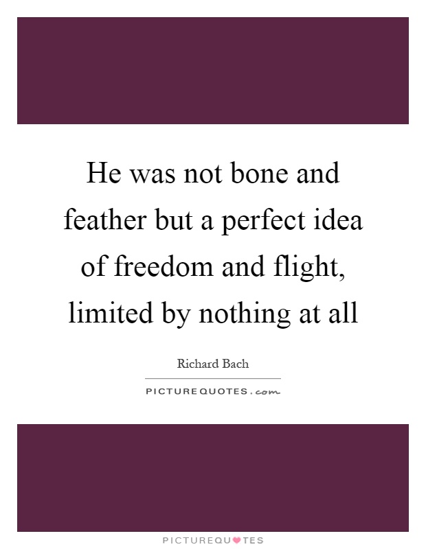 He was not bone and feather but a perfect idea of freedom and flight, limited by nothing at all Picture Quote #1
