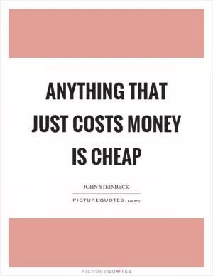 Anything that just costs money is cheap Picture Quote #1