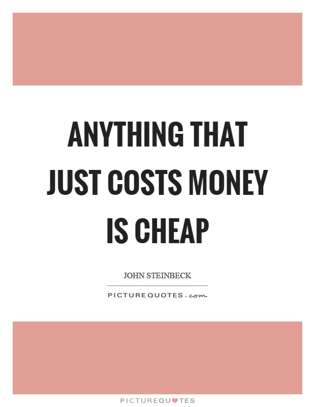Anything that just costs money is cheap Picture Quote #1