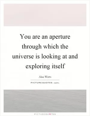 You are an aperture through which the universe is looking at and exploring itself Picture Quote #1