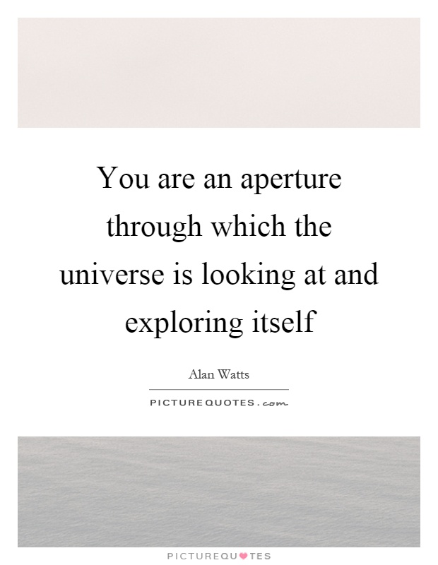 You are an aperture through which the universe is looking at and exploring itself Picture Quote #1