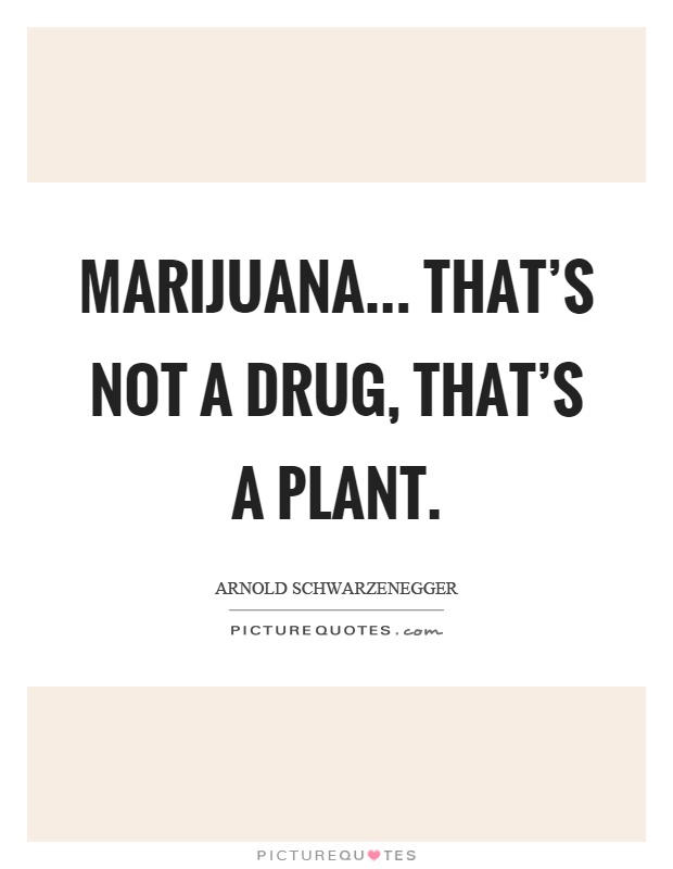 Marijuana... That's not a drug, that's a plant Picture Quote #1
