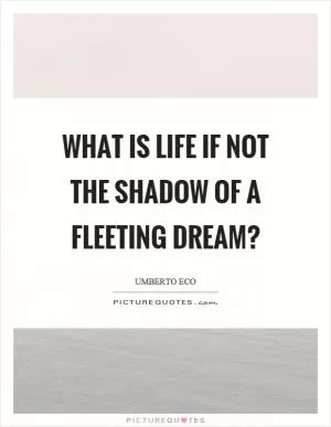 What is life if not the shadow of a fleeting dream? Picture Quote #1