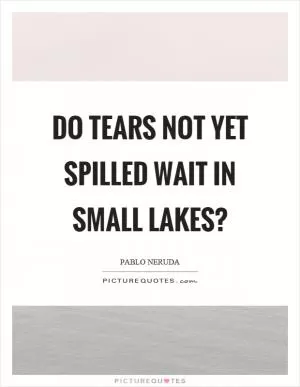 Do tears not yet spilled wait in small lakes? Picture Quote #1