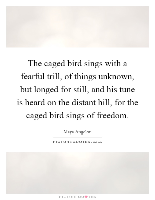 The caged bird sings with a fearful trill, of things unknown, but longed for still, and his tune is heard on the distant hill, for the caged bird sings of freedom Picture Quote #1