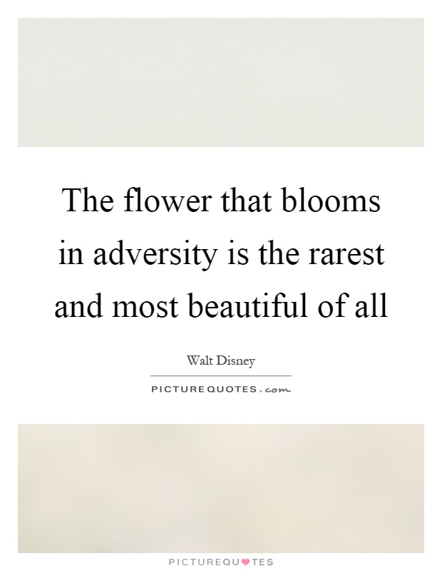 The flower that blooms in adversity is the rarest and most beautiful of all Picture Quote #1