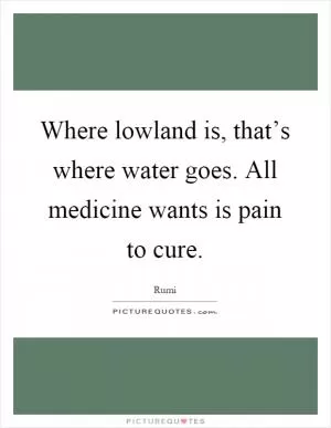 Where lowland is, that’s where water goes. All medicine wants is pain to cure Picture Quote #1