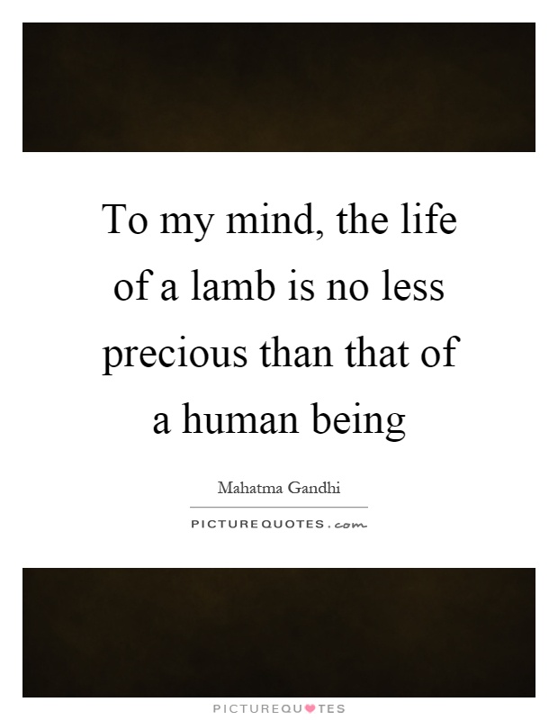 To my mind, the life of a lamb is no less precious than that of a human being Picture Quote #1