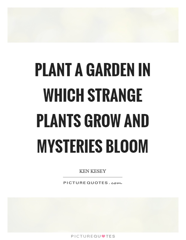 Plant a garden in which strange plants grow and mysteries bloom Picture Quote #1