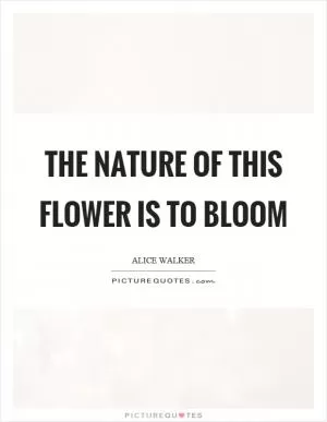 The nature of this flower is to bloom Picture Quote #1