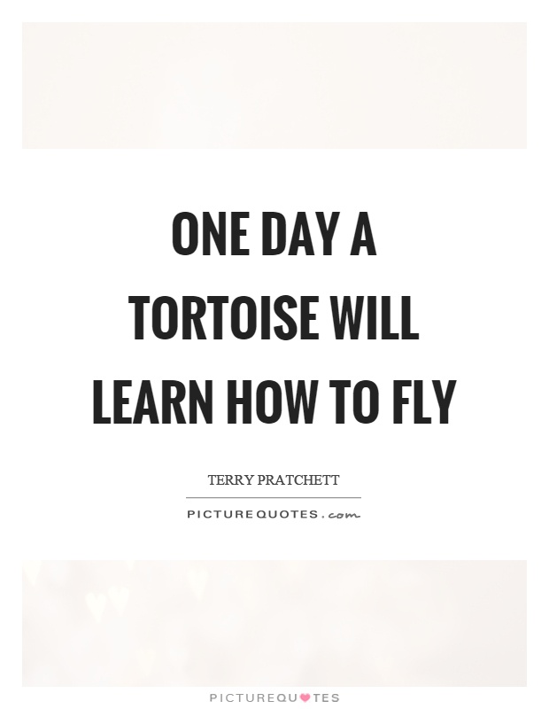 One day a tortoise will learn how to fly Picture Quote #1