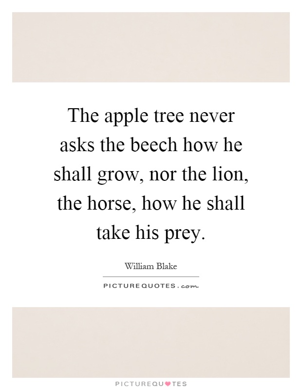 The apple tree never asks the beech how he shall grow, nor the lion, the horse, how he shall take his prey Picture Quote #1