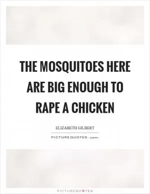 The mosquitoes here are big enough to rape a chicken Picture Quote #1