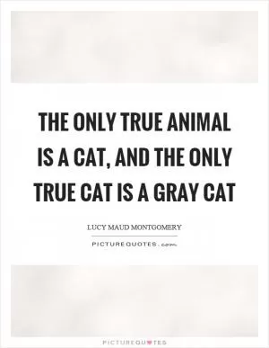 The only true animal is a cat, and the only true cat is a gray cat Picture Quote #1