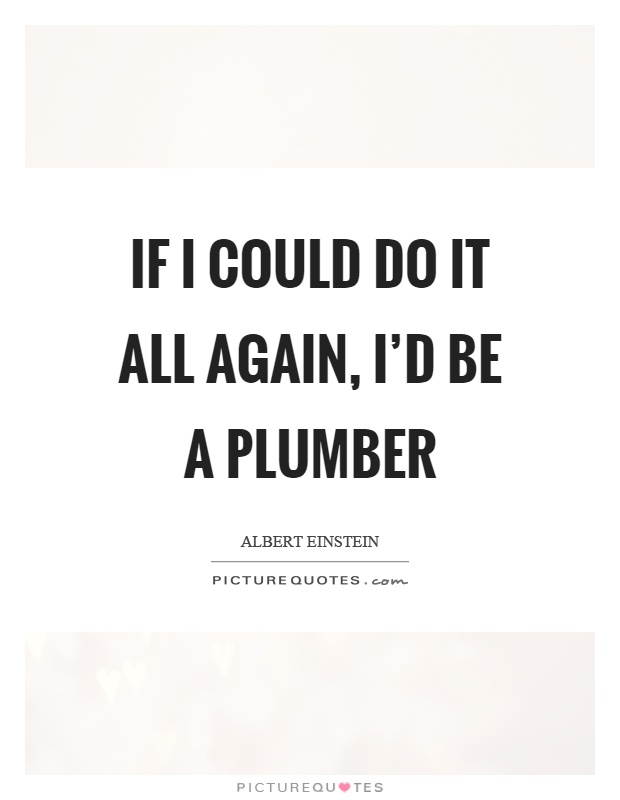 If I could do it all again, I'd be a plumber Picture Quote #1