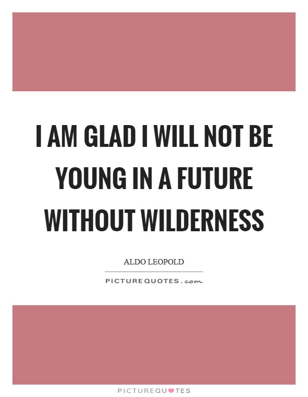 I am glad I will not be young in a future without wilderness Picture Quote #1
