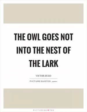 The owl goes not into the nest of the lark Picture Quote #1