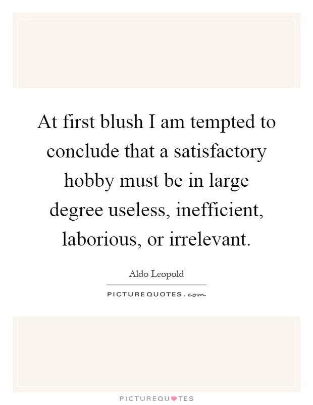 At first blush I am tempted to conclude that a satisfactory hobby must be in large degree useless, inefficient, laborious, or irrelevant Picture Quote #1